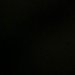 Meet your Posher, Savannah